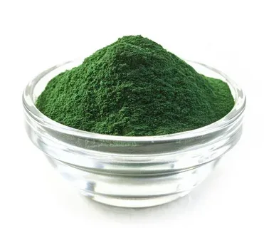 Organic Spirulina Importer from India